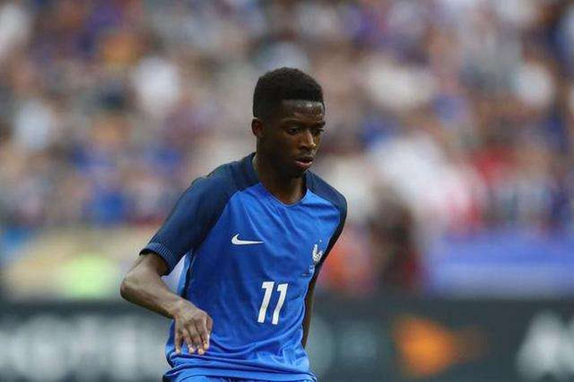 篮球勇士年轻球员表现亮眼